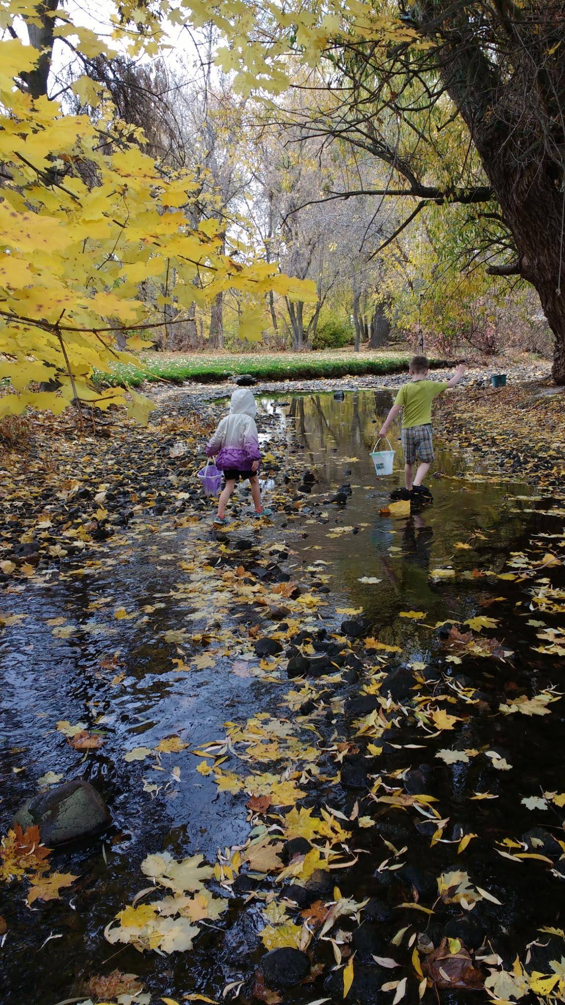 Little Logan River video